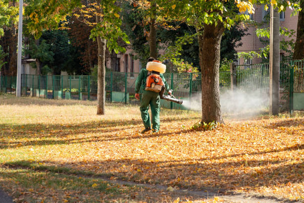 Best Affordable Pest Control Services  in Rothschild, WI